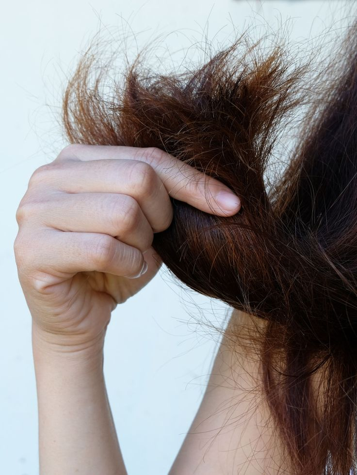 Shampoing cheveux secs