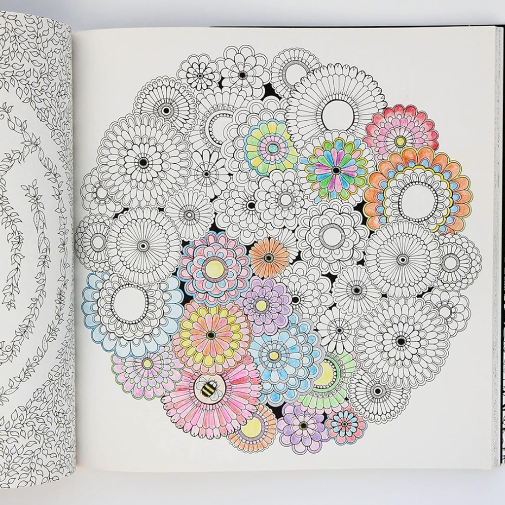 Livre de coloriage Mandalas Animaux - Secret Garden Bureau prix tunisie