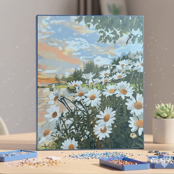 🌼 champ de marguerite