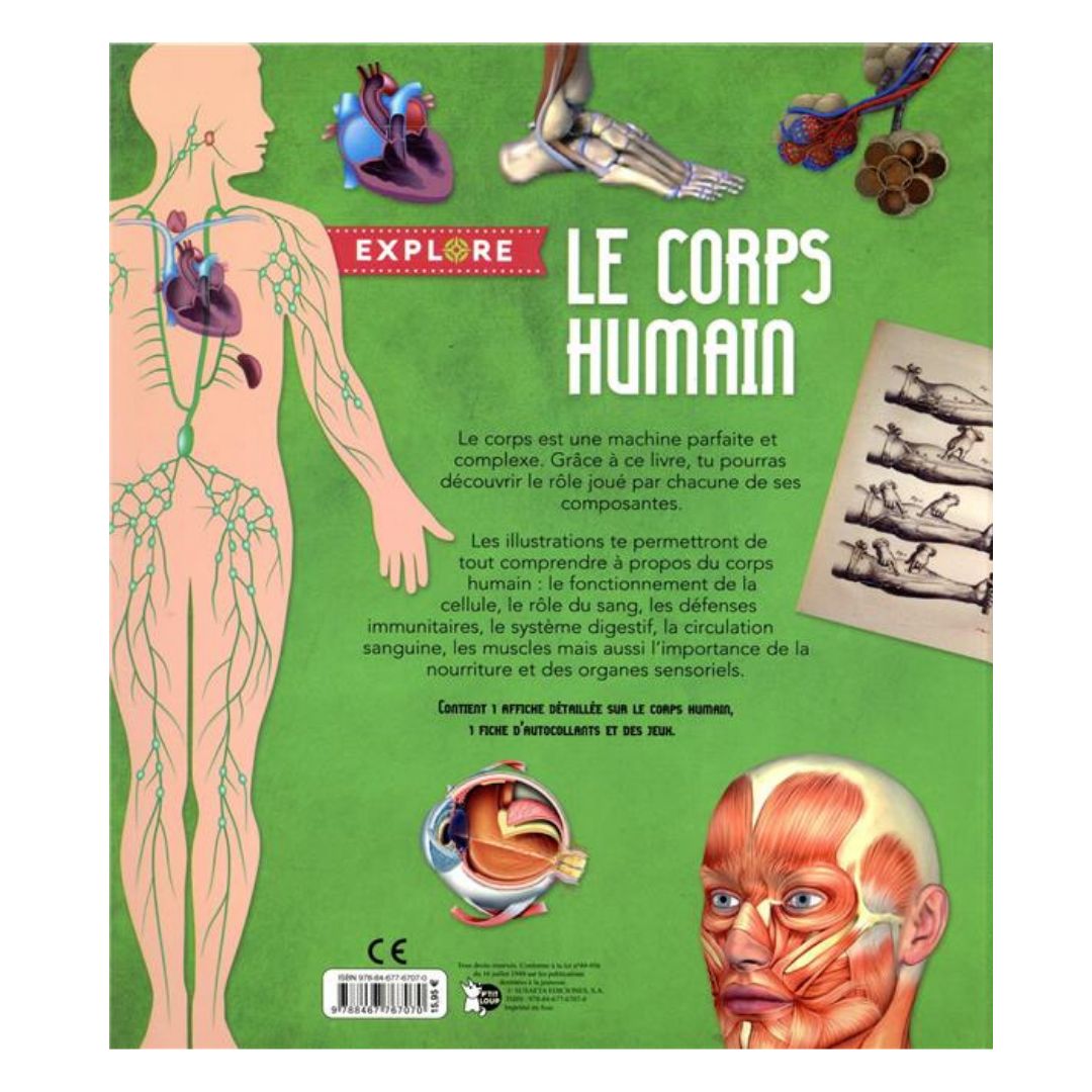 Le Corps Humain – Livre éducatif illustré | Oneaday