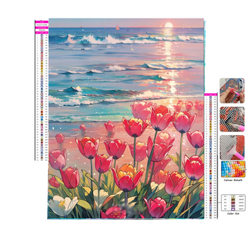 🌷Champs de tulipe