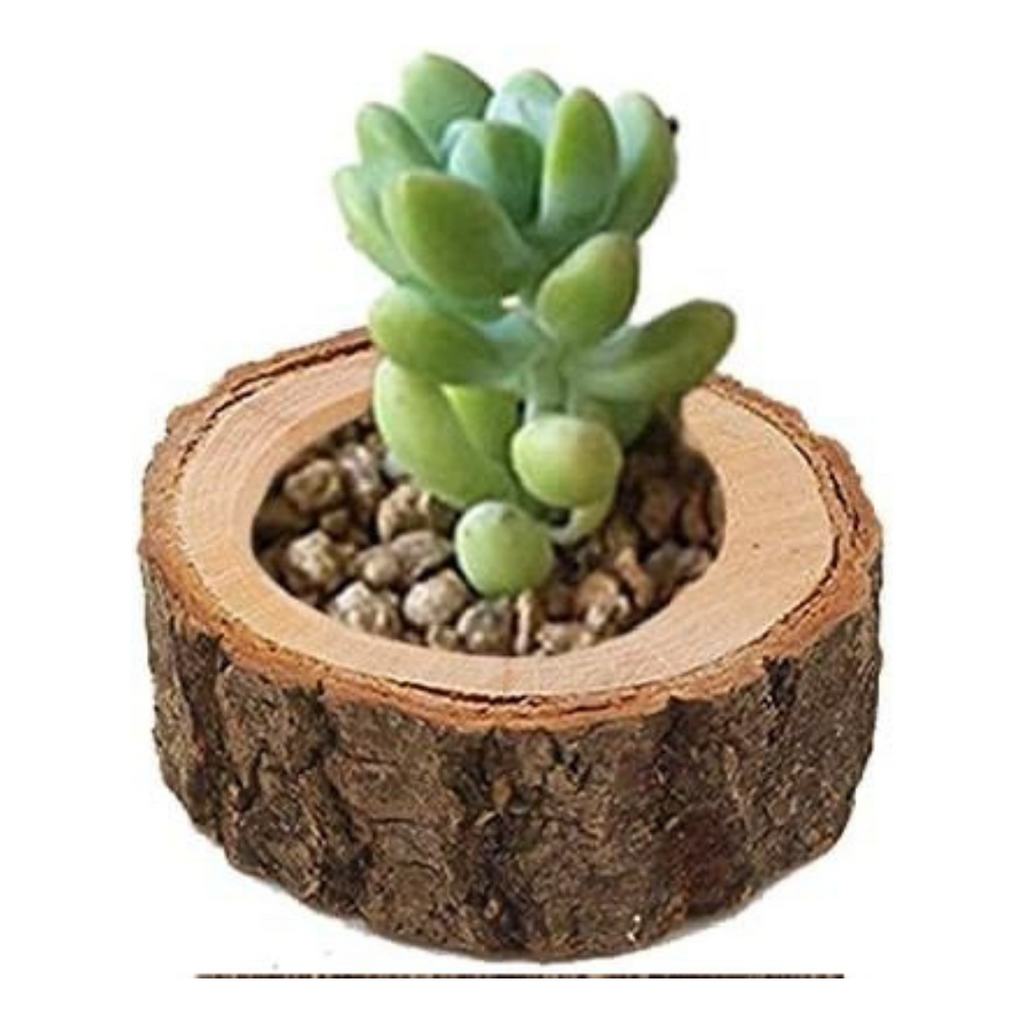 Bougeoir en bois brut Réf 846_1 beaux-arts prix tunisie