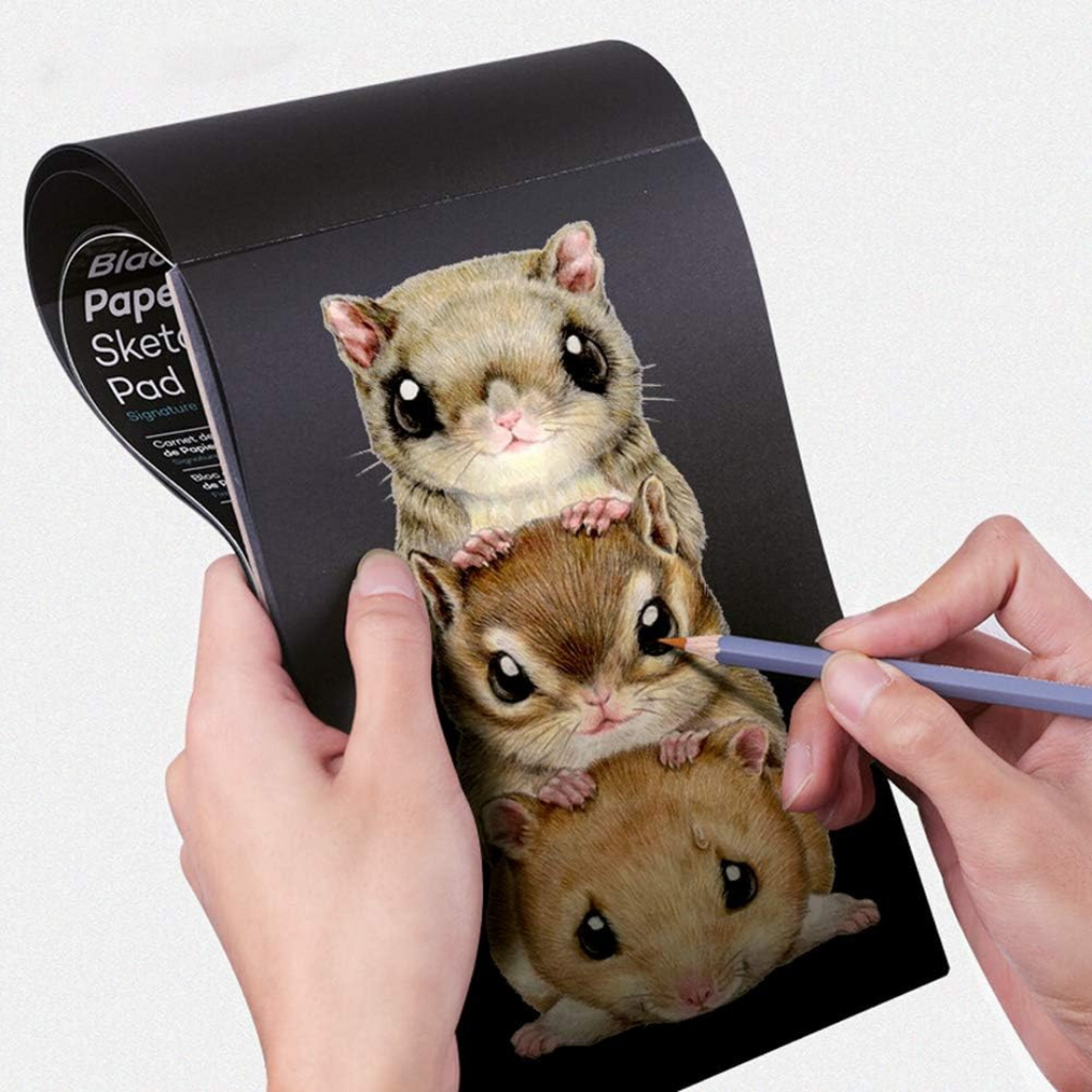 Carnet de Dessin Noir A4 – Papier épais 25 feuilles beaux-arts prix tunisie