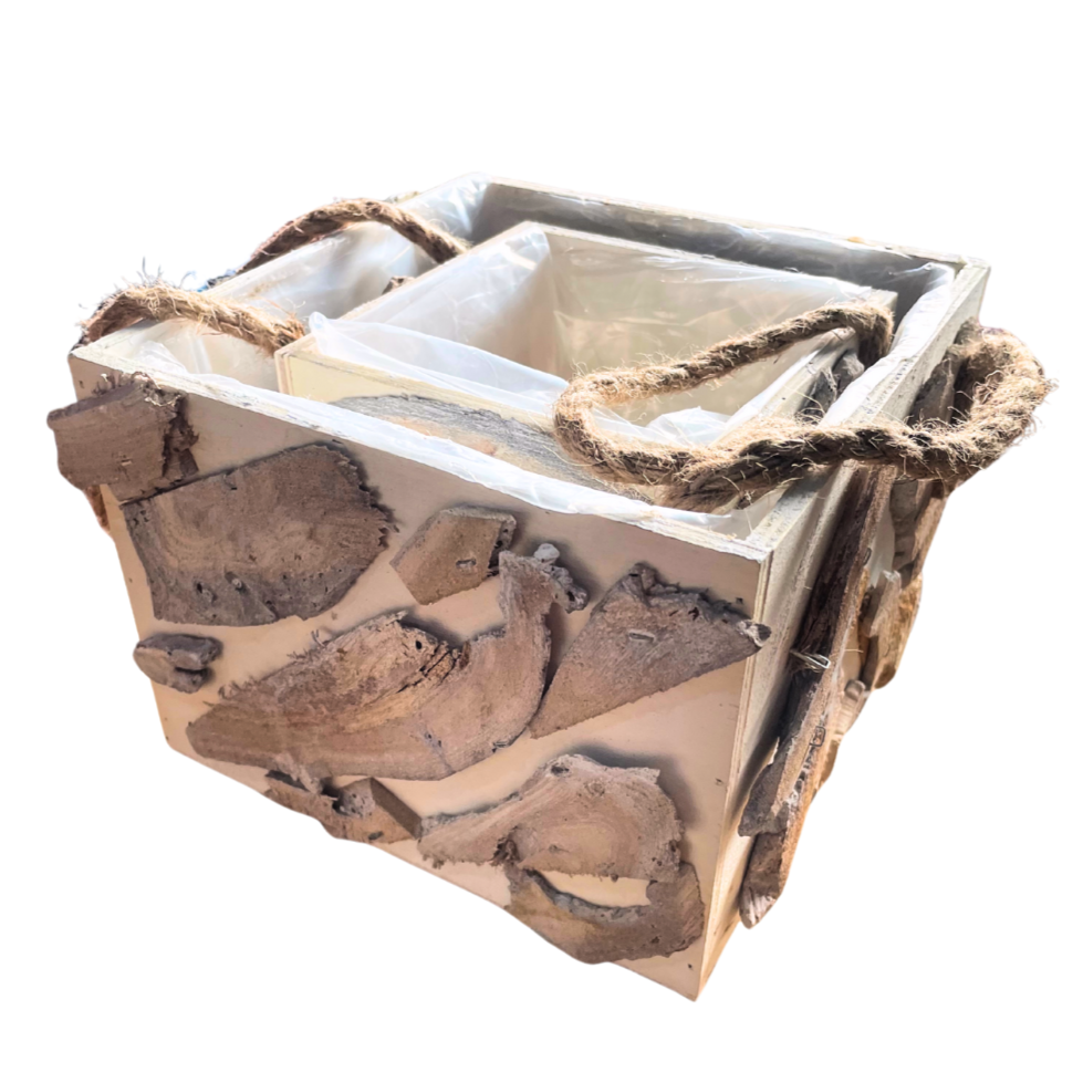 Lot de 2 Pots de fleurs Carré 19cm-13cm beaux-arts prix tunisie