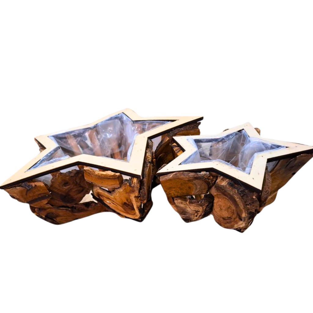 Lot de 2 Pots de fleurs Etoile beaux-arts prix tunisie