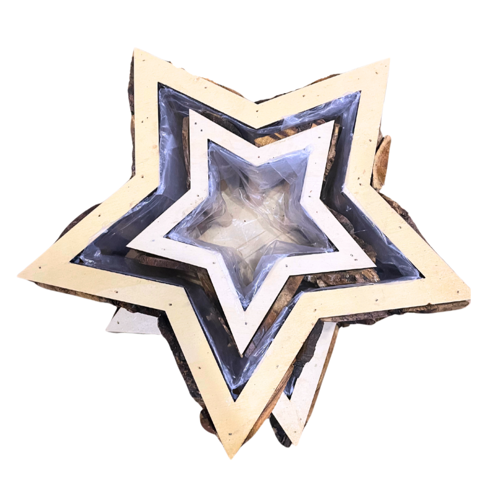 Lot de 2 Pots de fleurs Etoile beaux-arts prix tunisie