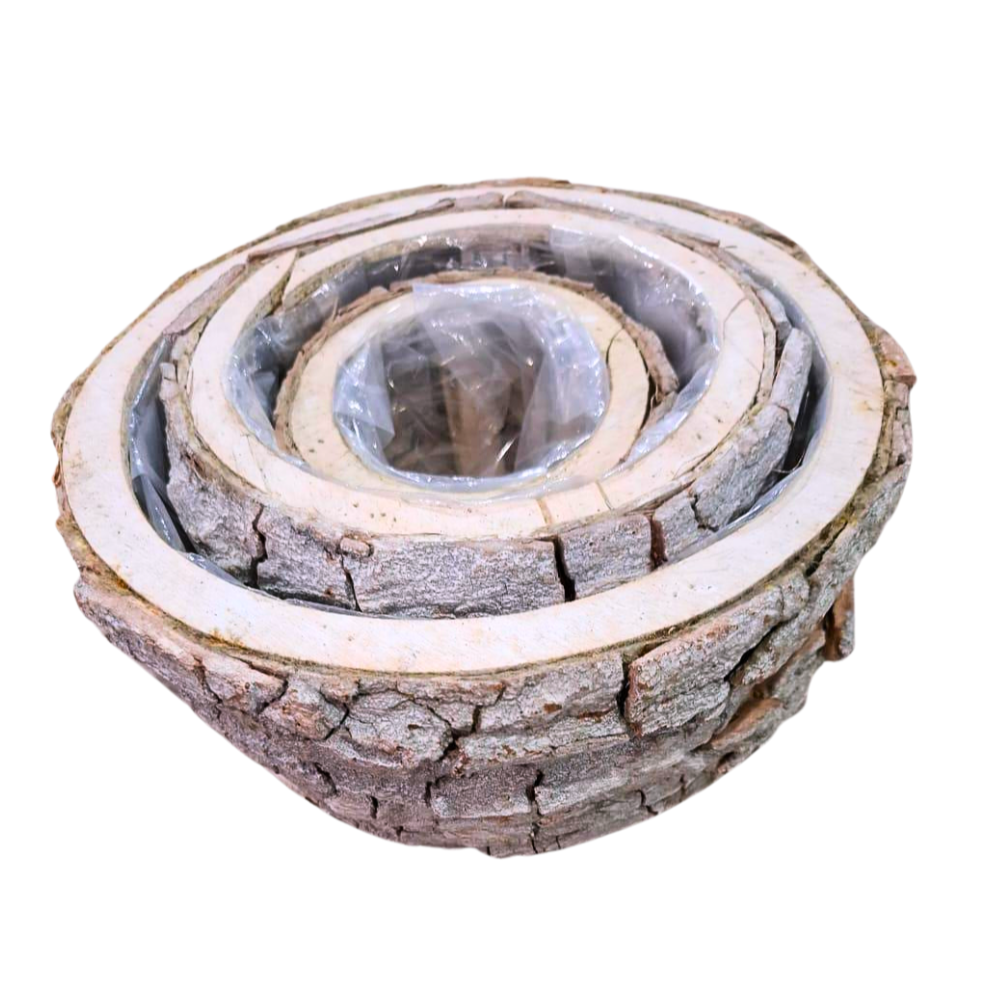 Lot de 3 pots de fleurs en écorce en bois naturel beaux-arts prix tunisie