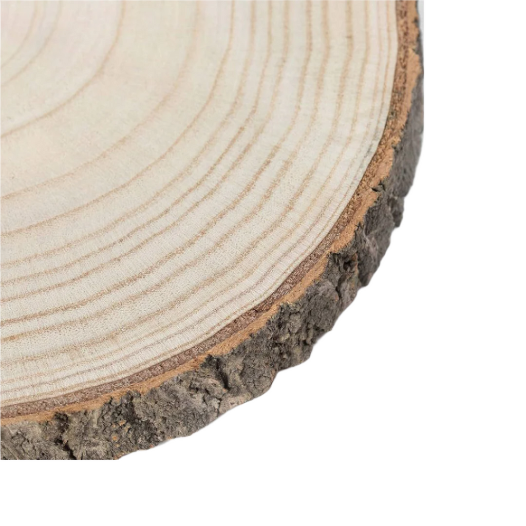 Plateau de tranche d'ornement rustique en dalles de bois naturel barky Réf SL_267 beaux-arts prix tunisie