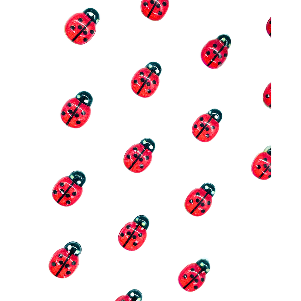 STICKERS COCCINELLE beaux-arts prix tunisie