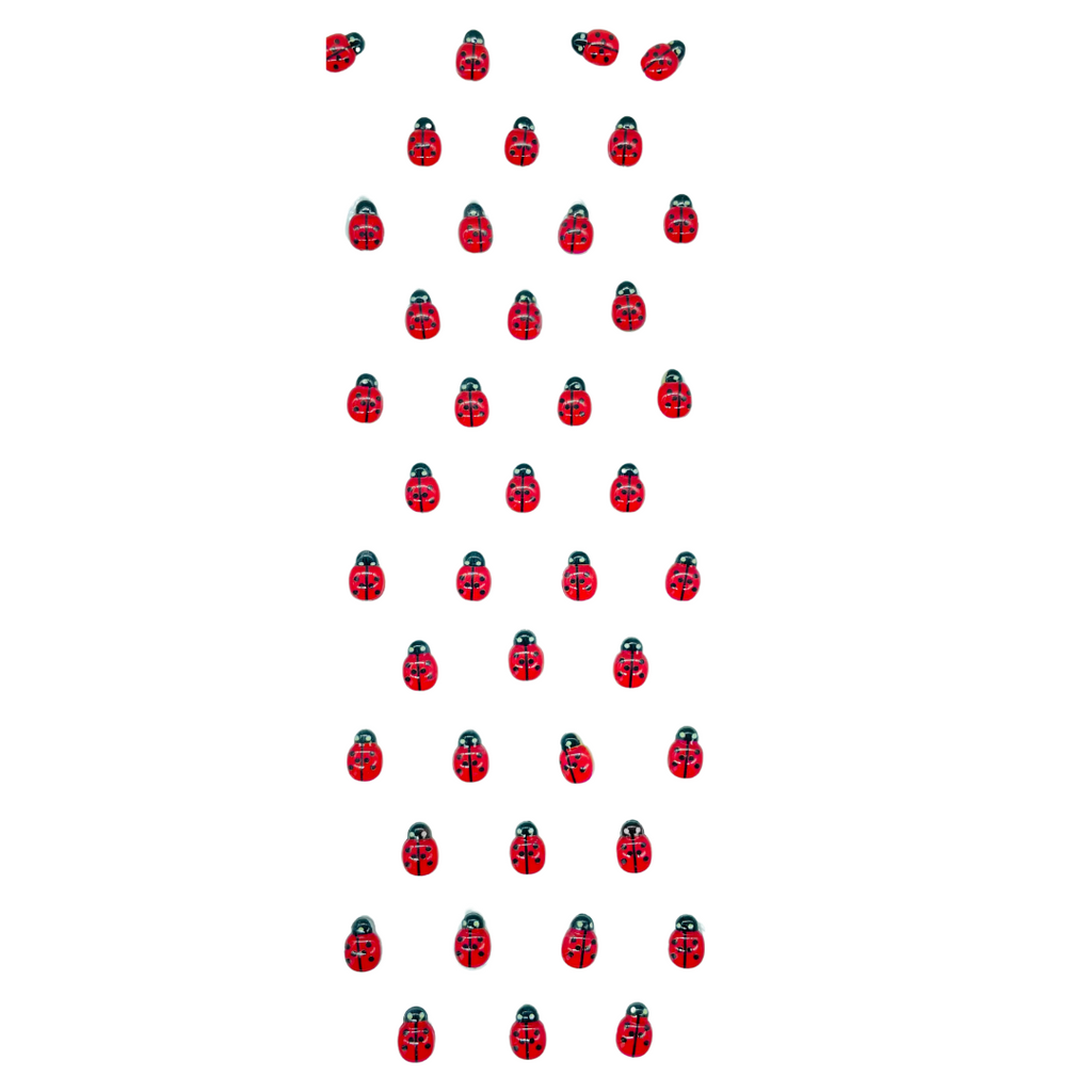 STICKERS COCCINELLE beaux-arts prix tunisie