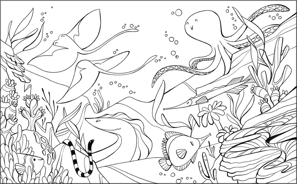 🐠 Animals livre de coloriage Bureau prix tunisie