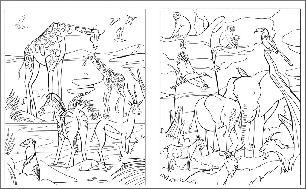 🐠 Animals livre de coloriage Bureau prix tunisie