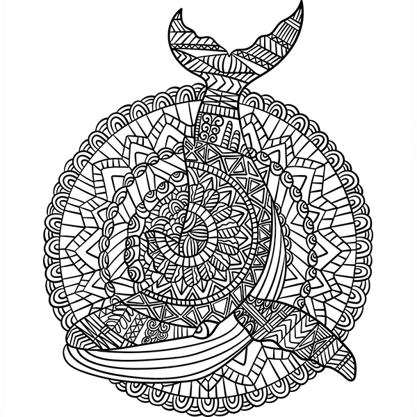Livre coloriage Mandalas OCEAN LIFE Bureau prix tunisie