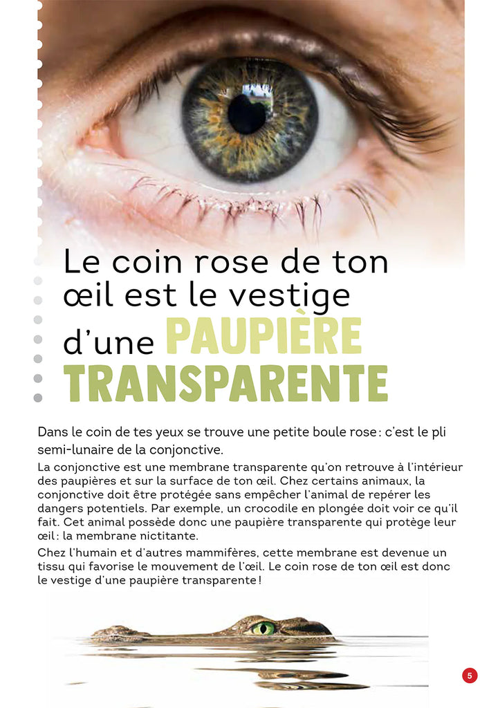 100 faits étonnants sur le corps humain encyclopedie Oneaday prix tunisie