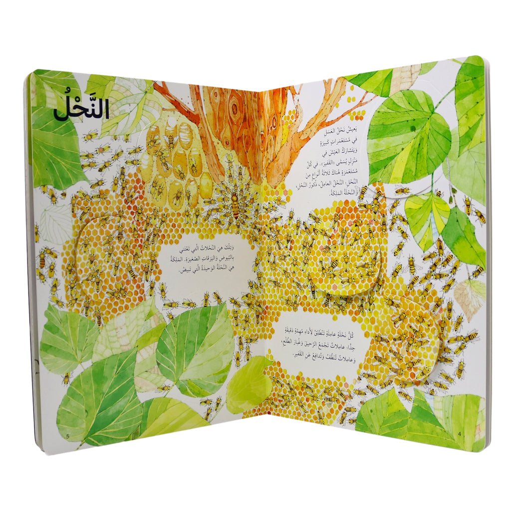 ارفع الطيات واكتشف - عالم الحشرات encyclopedie Oneaday prix tunisie