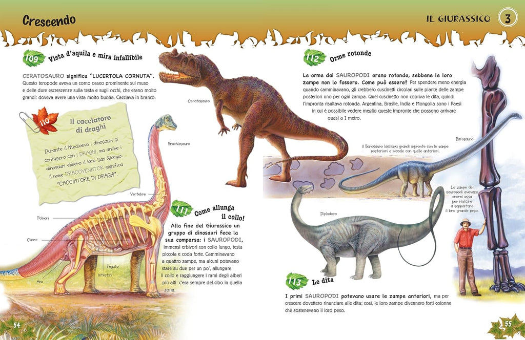 500 questions et réponses sur les dinosaures encyclopedie Oneaday prix tunisie