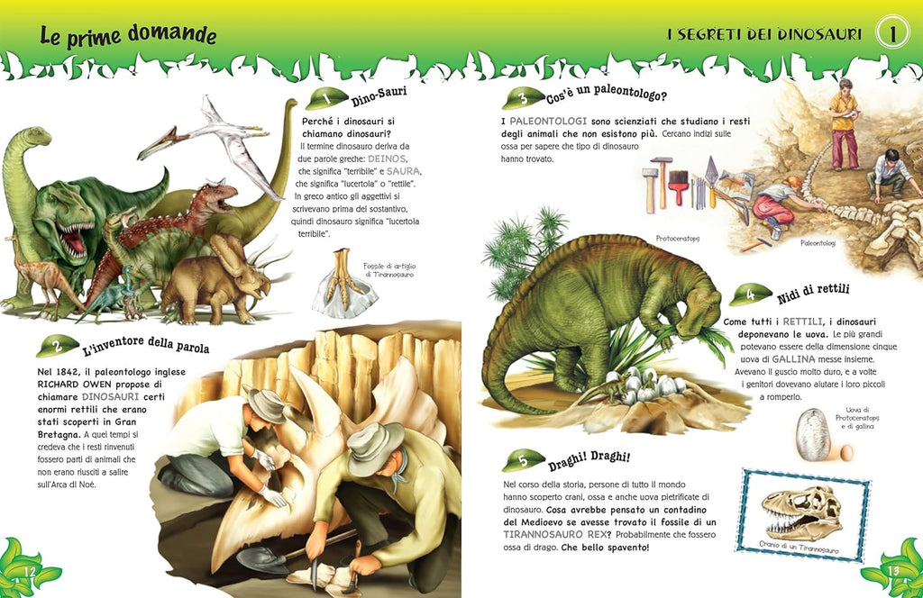 500 questions et réponses sur les dinosaures encyclopedie Oneaday prix tunisie
