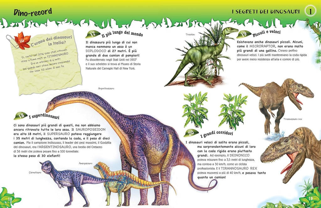 500 questions et réponses sur les dinosaures encyclopedie Oneaday prix tunisie