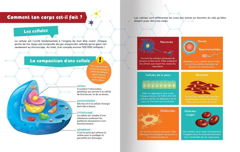 À la découverte du corps humain encyclopedie Oneaday prix tunisie