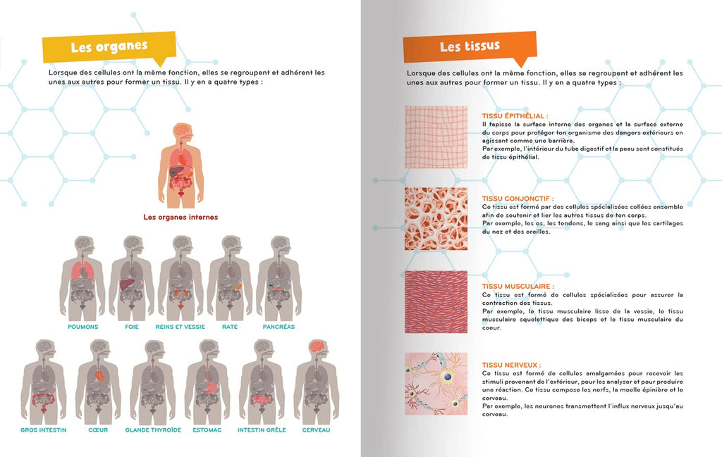 À la découverte du corps humain encyclopedie Oneaday prix tunisie