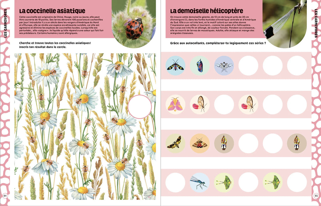 Jeux et coloriages insectes et bestioles encyclopedie Oneaday prix tunisie