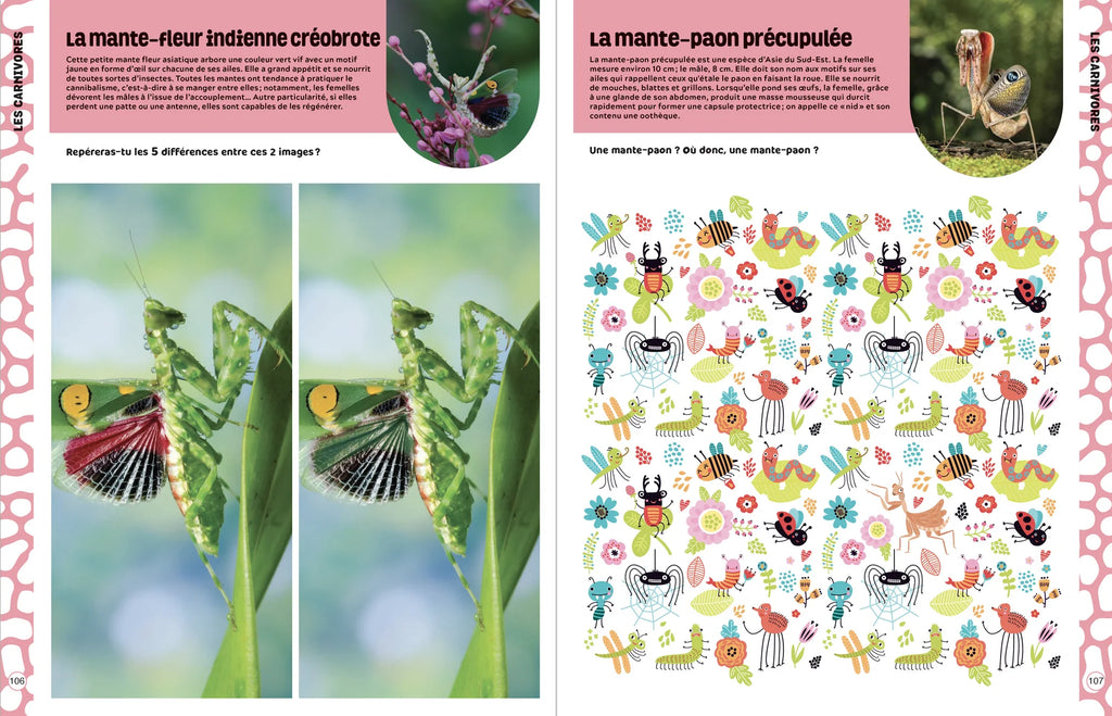 Jeux et coloriages insectes et bestioles encyclopedie Oneaday prix tunisie