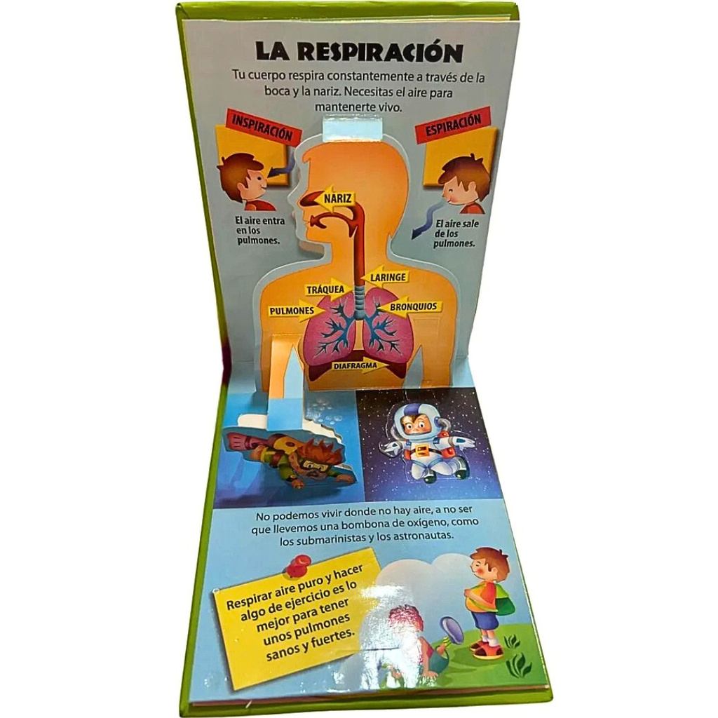 Le Corps Humain : La respiration et la digestion encyclopedie Oneaday prix tunisie