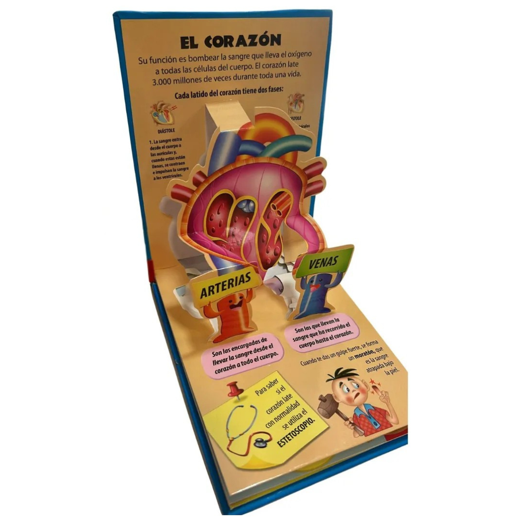 Le Corps Humain : Le Cerveau et le Cœur encyclopedie Oneaday prix tunisie