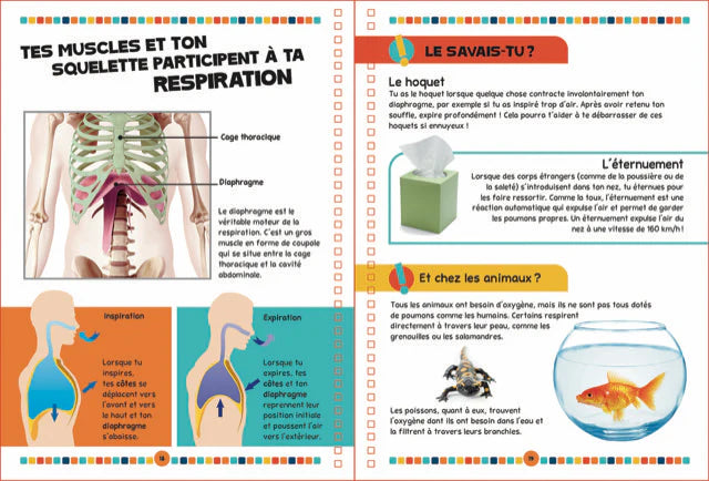 Le livre du corps humain encyclopedie Oneaday prix tunisie