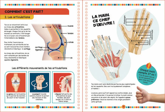 Le livre du corps humain encyclopedie Oneaday prix tunisie